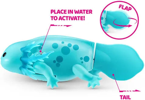 Pets Alive Swimming Axolotls