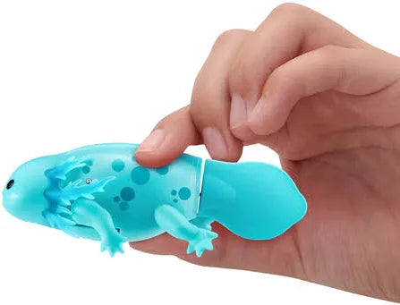 Pets Alive Swimming Axolotls